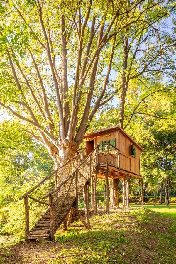 Ca La Masovera - Mas Vinyoles Natura Villa San Pedro de Torelló Exterior foto